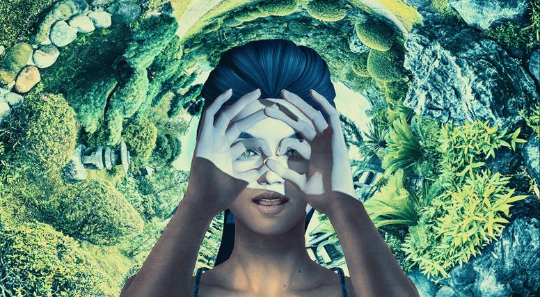 Les images : les métaphores