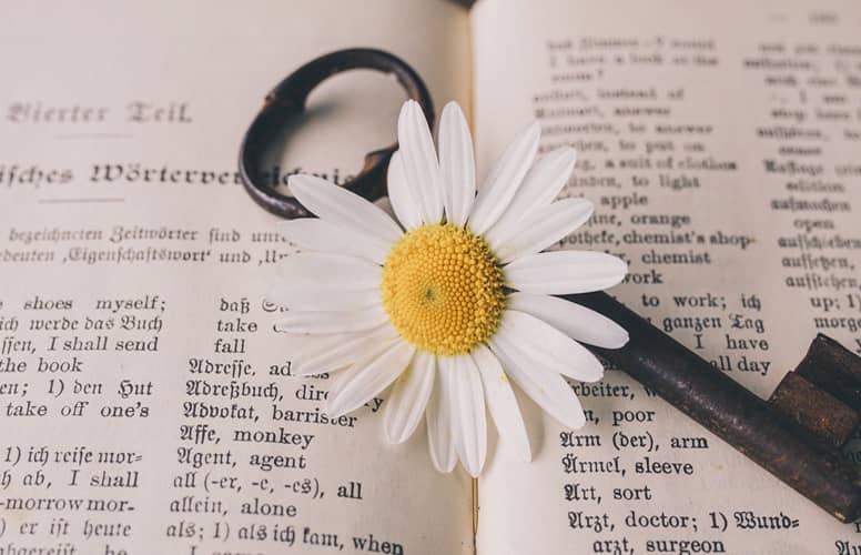 une clé et une fleur sur un livre ouvert