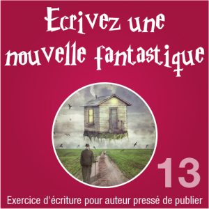 Exercice de style n° 13